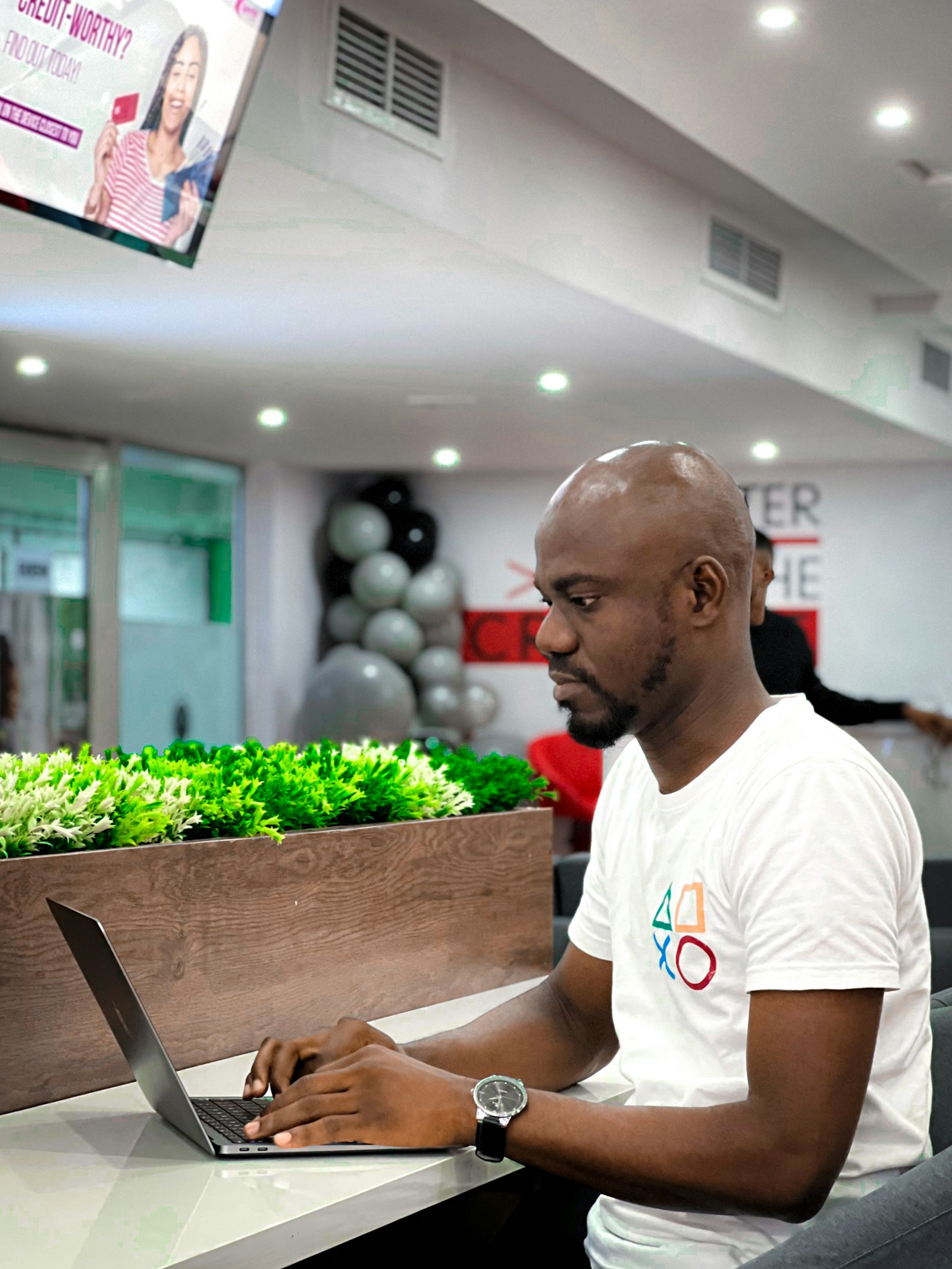 Professional web hosting workspace and site launch flow